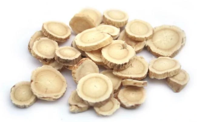 Astragalus Root Extract Powder