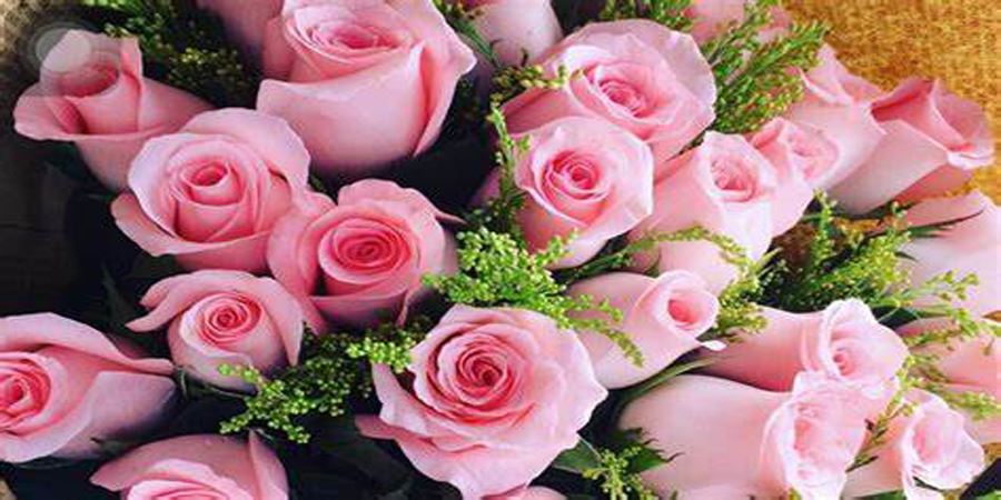 Rose Flower Powder