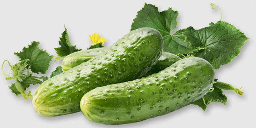 Cucumber fruit powder