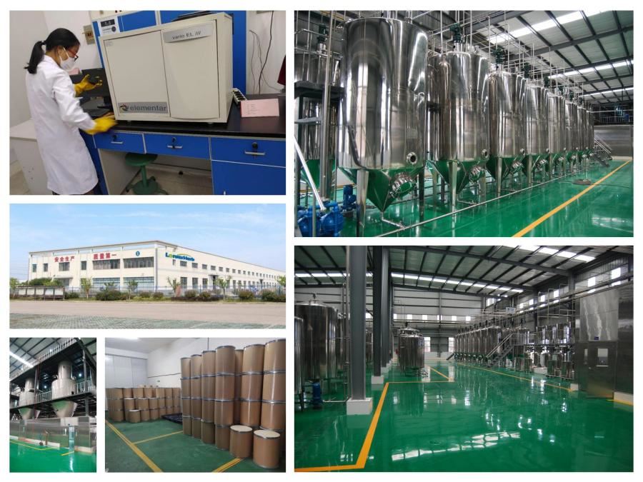 product-900-675 LonierHerb Factory 5