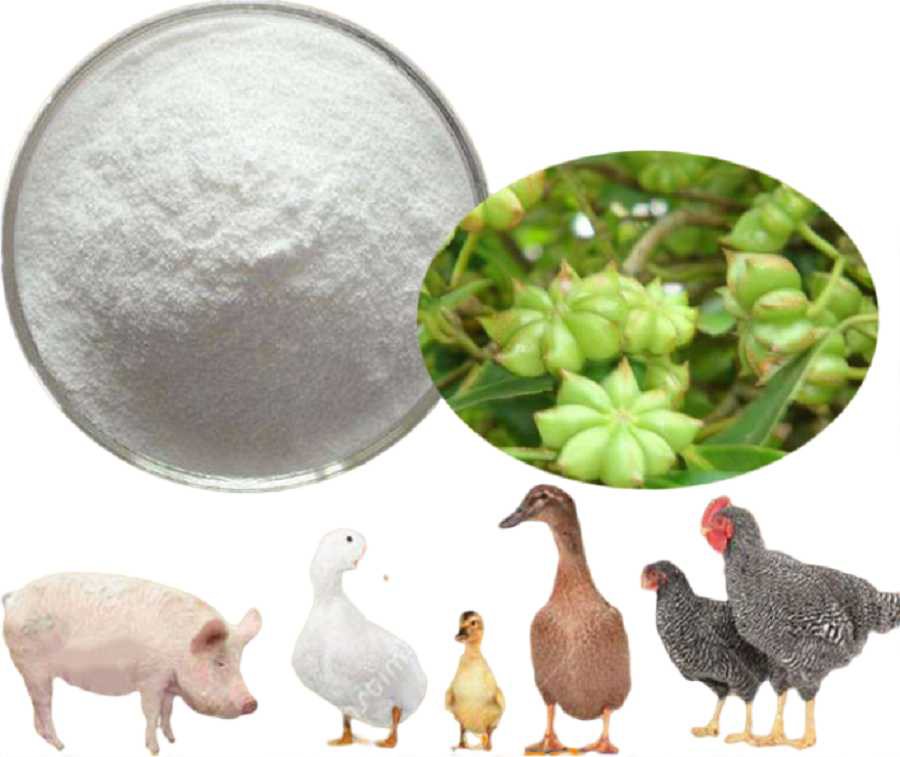 Star anise shikimic acid