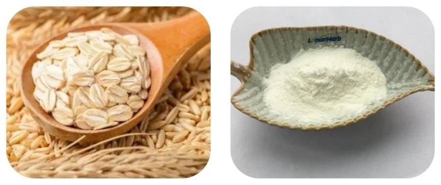 Beta Glucan Oat Powder