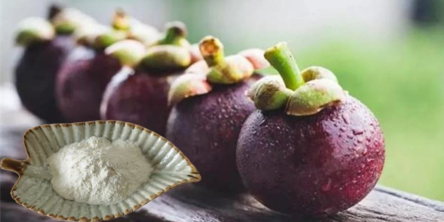 Mangosteen Fruit Powder