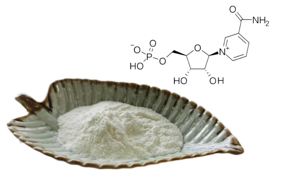 NMN, β-Nicotinamide Mononucleotide