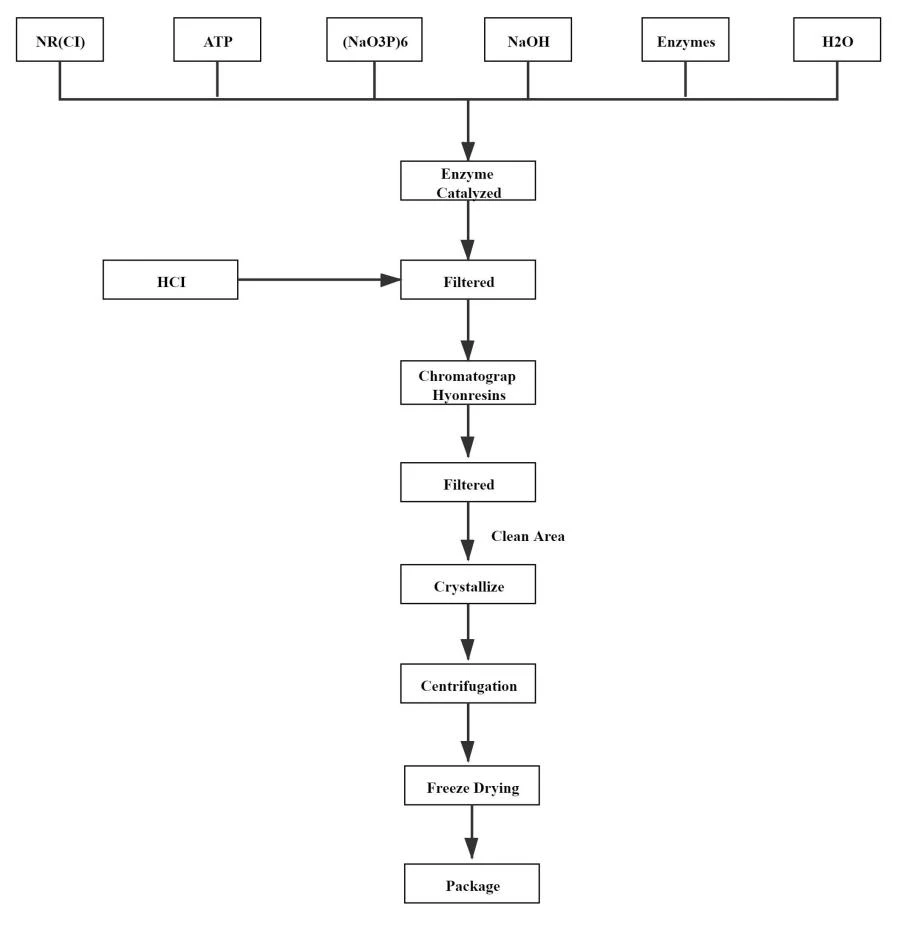 Flow Chart of NMN Powder