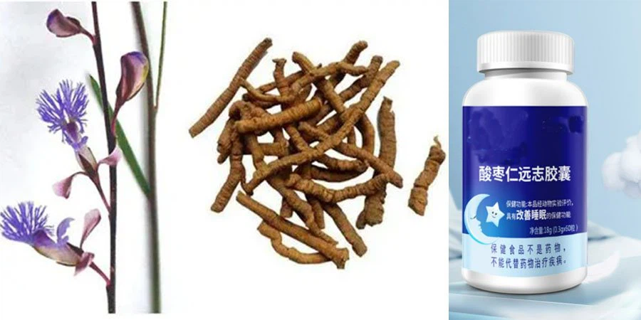 Thinleaf Milkwort Root Extract