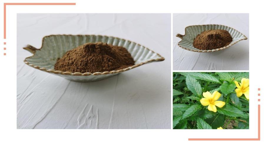 Damiana Leaf Extract,Damiana Leaf Powder