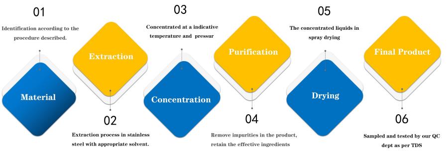 Manufacturing Process