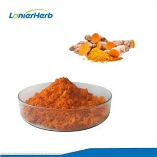Curcuma Longa ekstraktas