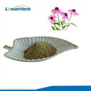 Echinacea purpurea ekstrakto milteliai