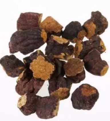 Polygonum Multiflorum Extract