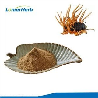 Cordyceps Militaris ekstrakto milteliai