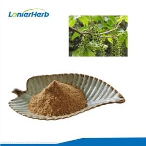 Cyclocarya Paliurus ekstraktas