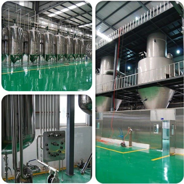 Winter Melon Extract